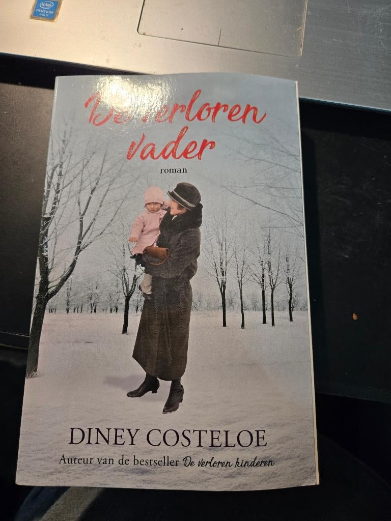 Boek "De verloren vader" door Diney Costeloe. 2024, Ophalen, Gelezen, Diney Costeloe
