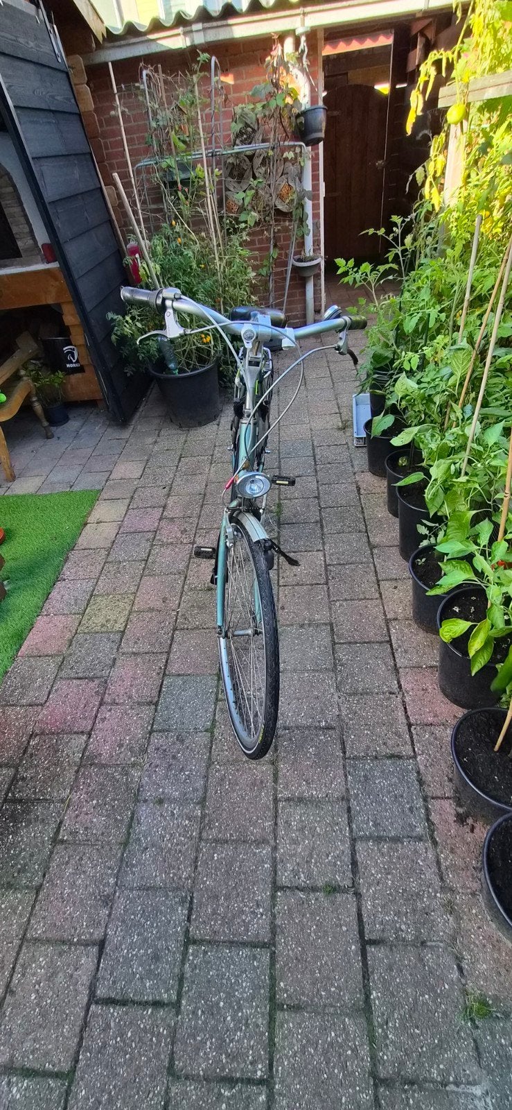 Gazelle Bloom Damesfiets met voordrager en mand, Terugtraprem, Gebruikt, Versnellingen, Ophalen of Verzenden