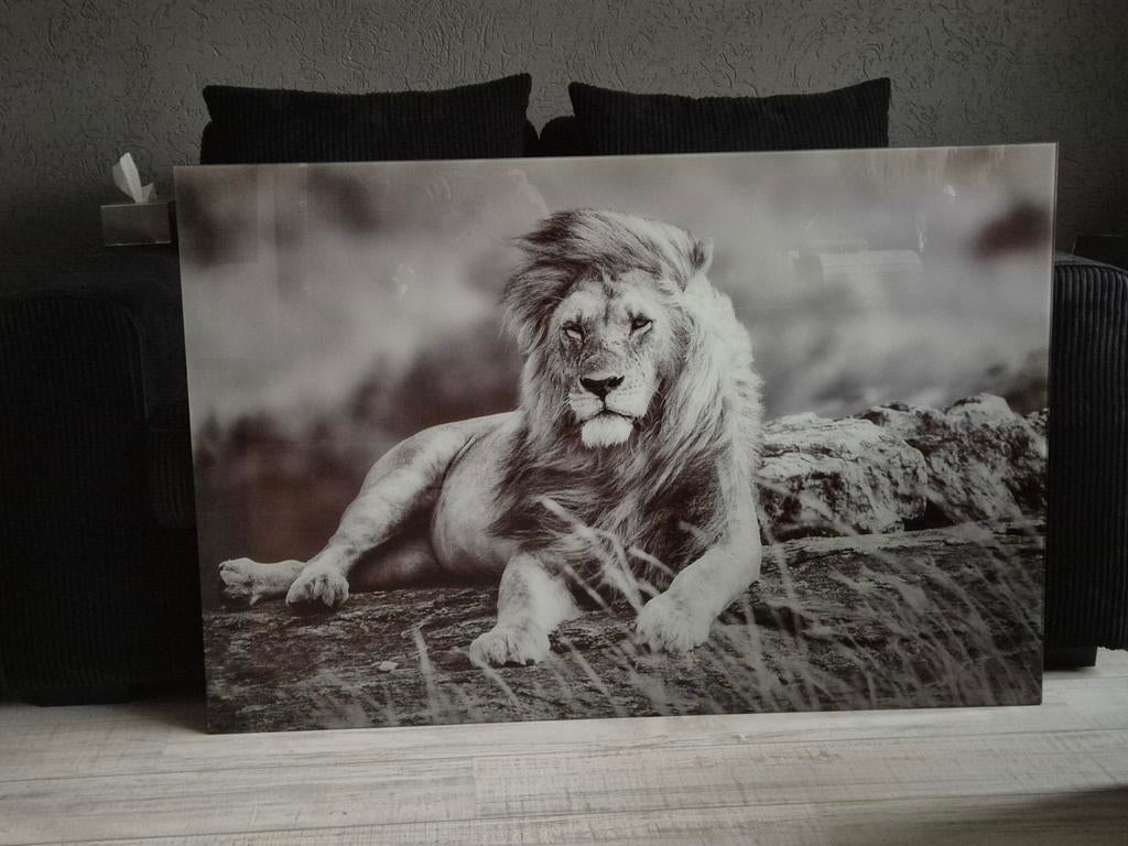 Foto in glas. Zwaar om te tillen. Maten zijn 120x80., Audio, Tv en Foto, Fotografie | Fotolijsten, Ophalen, Zo goed als nieuw
