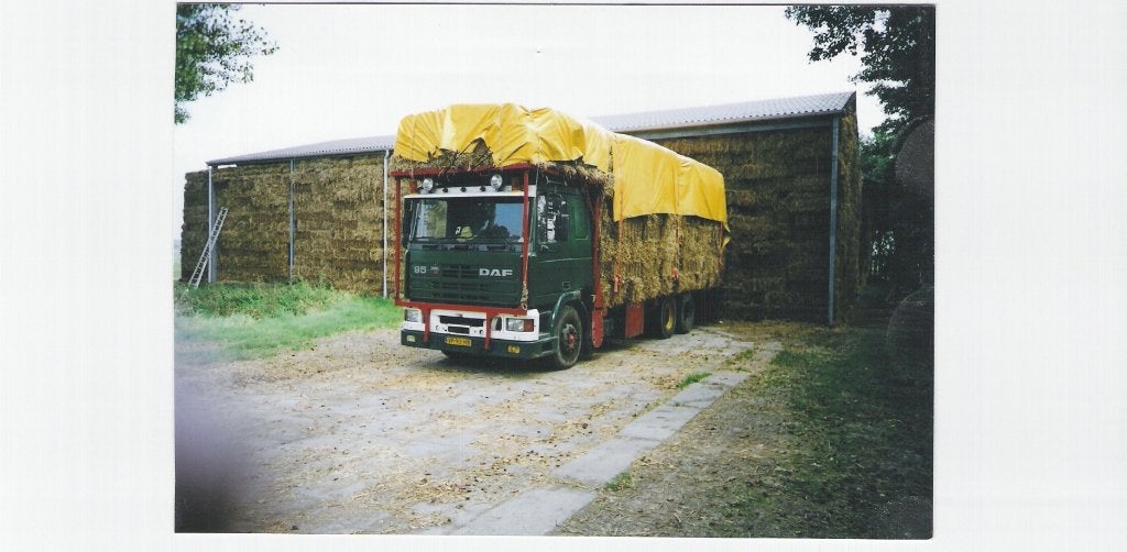 Haverstro, Dieren en Toebehoren, Ophalen of Verzenden, Vee