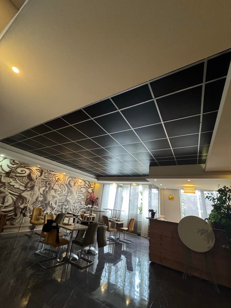 Verschillende plafonds, Ophalen of Verzenden, Gebruikt