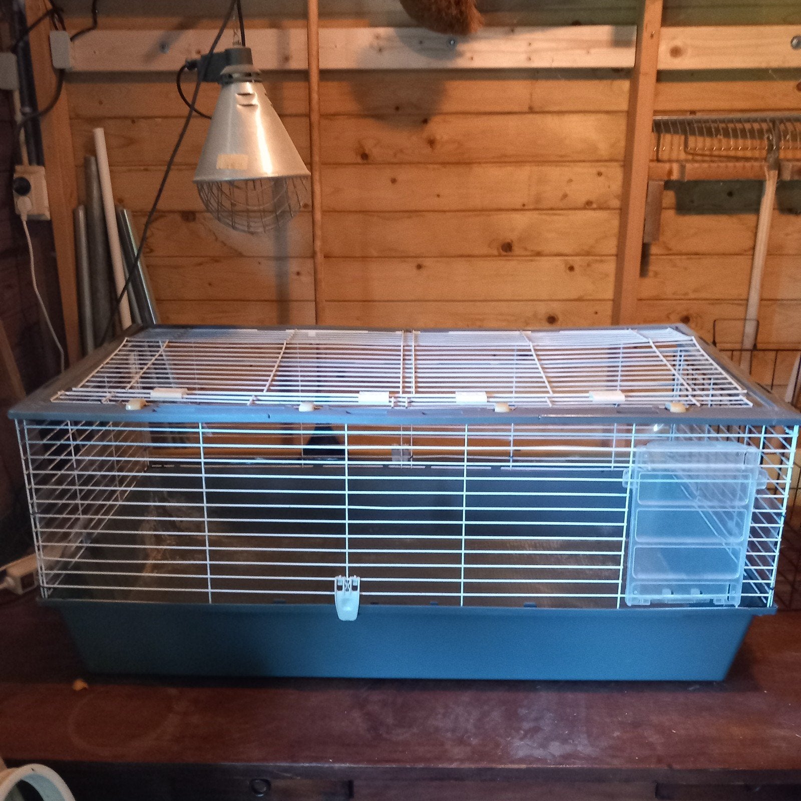 konijnenkooi, Dieren en Toebehoren, Ophalen, 110 cm of meer, Kooi, Minder dan 60 cm