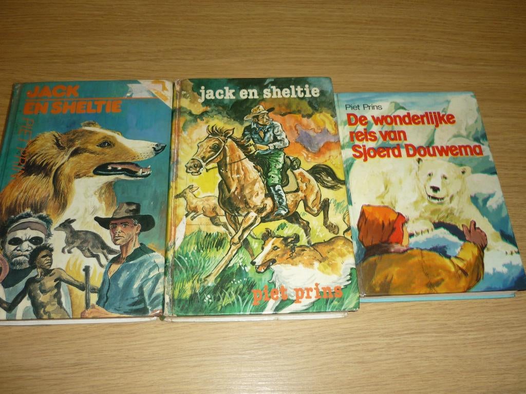 Boeken van Piet Prins, Boeken, Ophalen of Verzenden, Gelezen