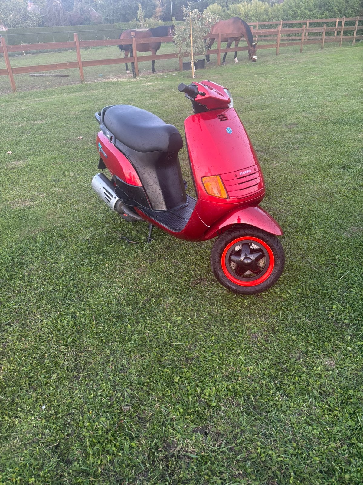 Piaggio skipper 125cc, Ophalen, Tweetakt, Gebruikt, Overige modellen