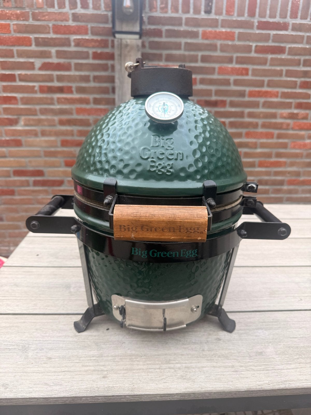 Green Egg Mini met carrier, Tuin en Terras, Ophalen, Gebruikt, Met accessoires