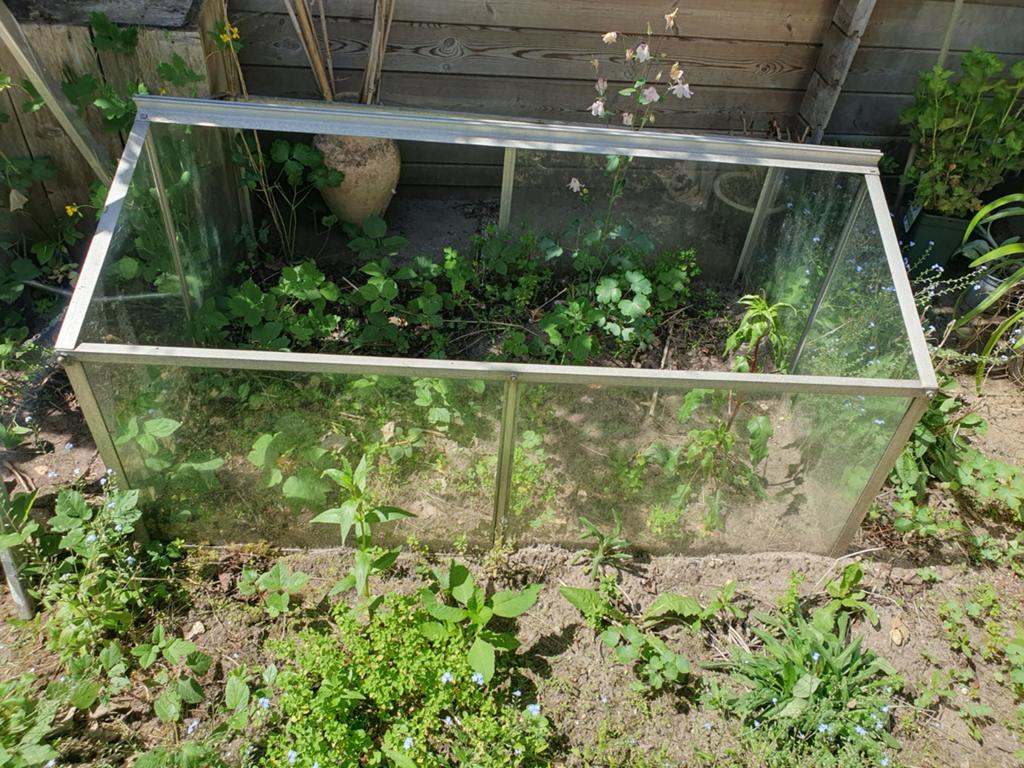 Kleine kas met glazen afdekplaten., Ophalen of Verzenden, Glas, Gebruikt, Aluminium