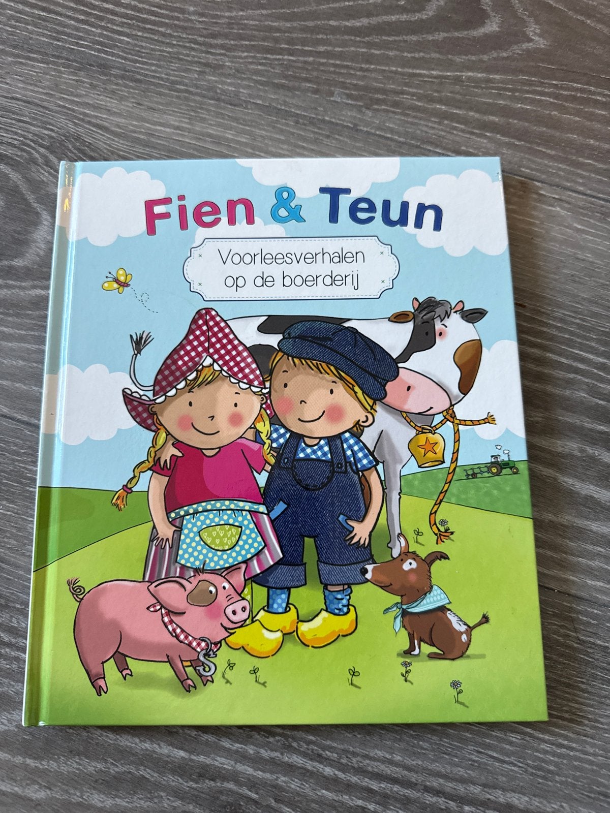 Fien & Teun Voorleesverhalen op de boerderij, Fictie algemeen, Jongen of Meisje, Ophalen of Verzenden, Zo goed als nieuw
