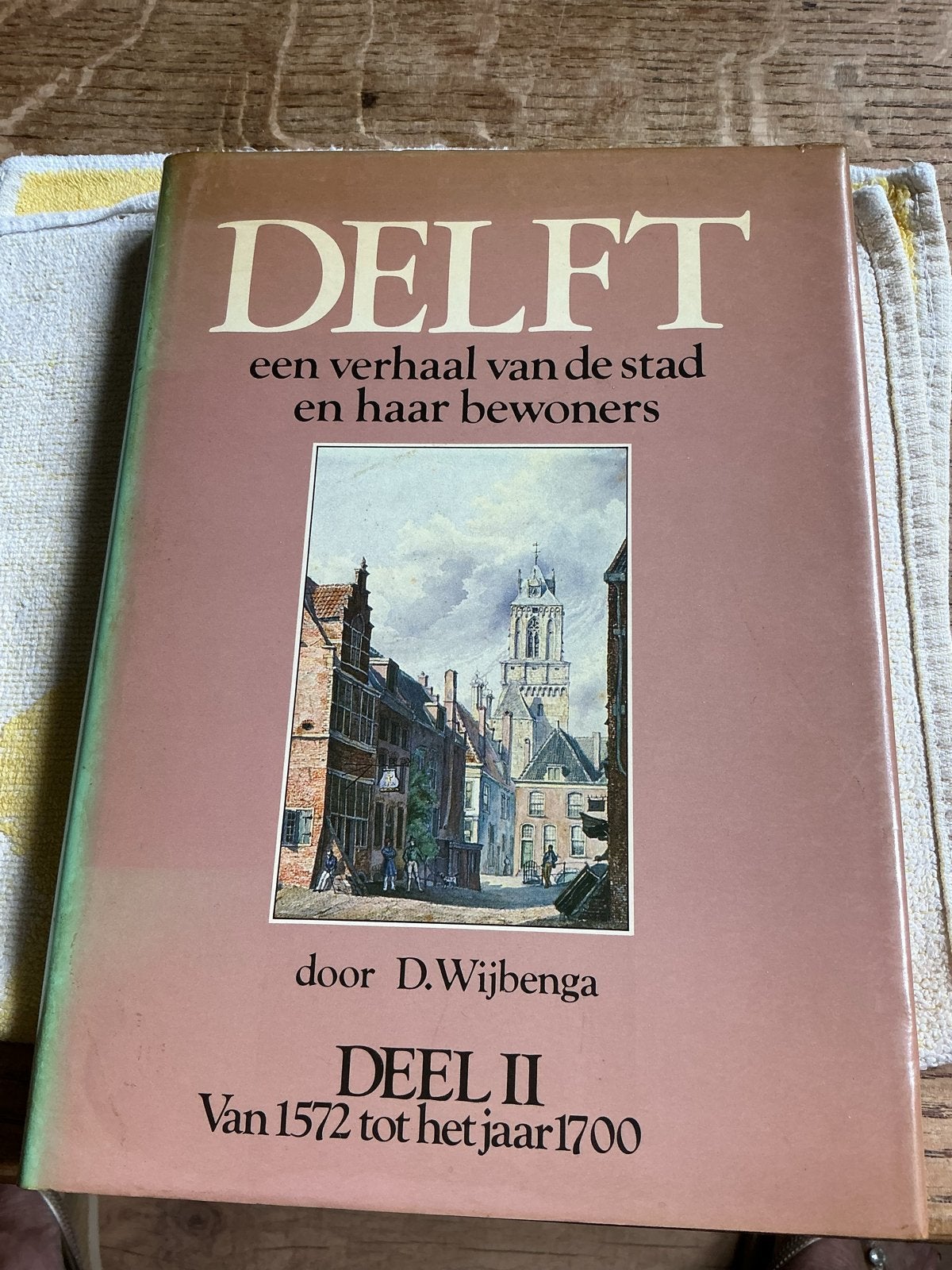 Delft: Een verhaal van de stad en haar bewoners - Deel II, Ophalen of Verzenden, 17e en 18e eeuw, Gelezen