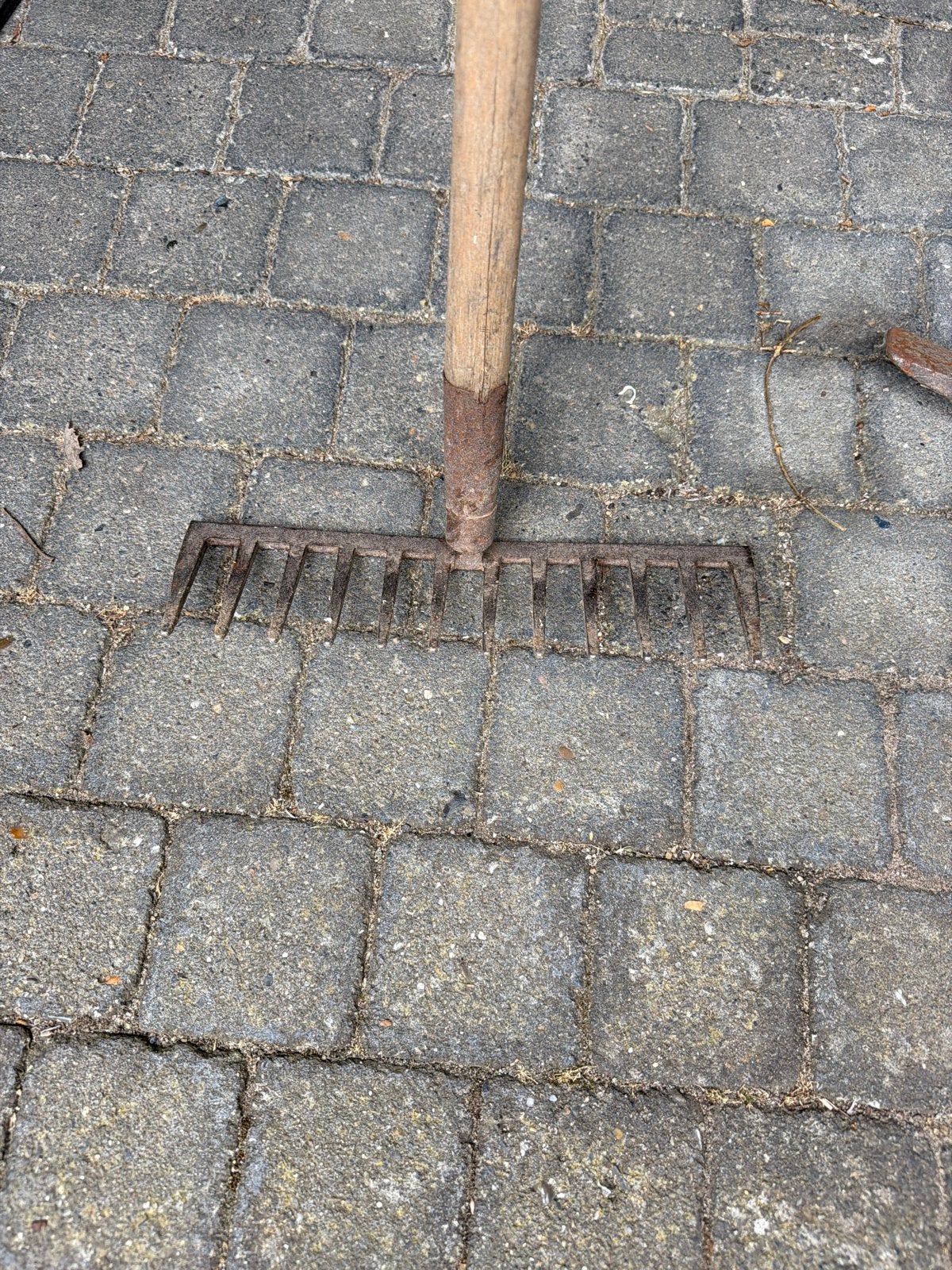 Oude hark met houten steel - 170cm, Tuin en Terras, Ophalen, Gebruikt, Hark