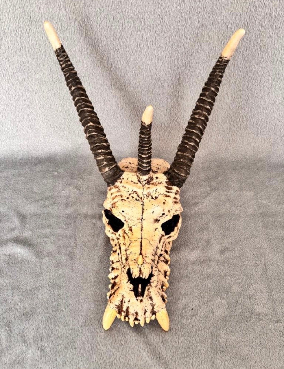 Decoratieve schedel met hoorns - Uniek item, Ophalen of Verzenden, Gebruikt, Overige soorten, Schedel