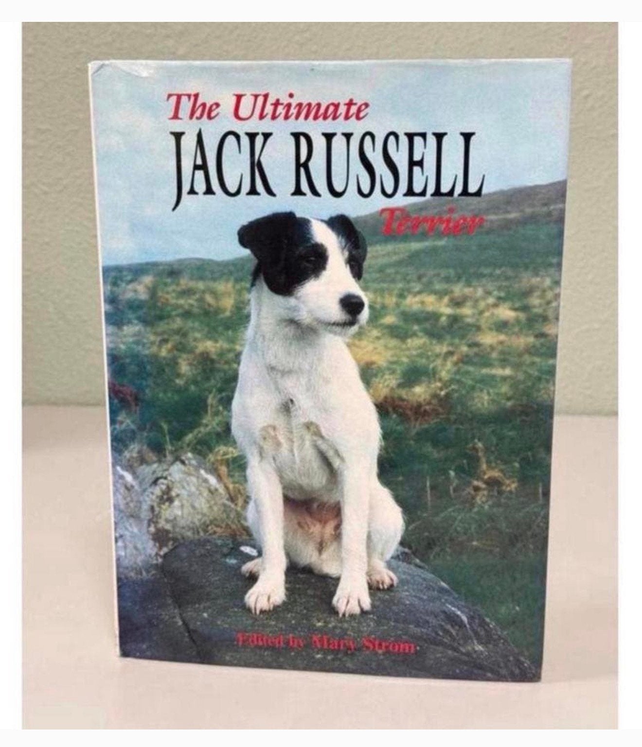 Ultimate Jack Russell Terrier by Mary Strom 1999, Hardcover, Boeken, Ophalen of Verzenden, Zo goed als nieuw, Honden
