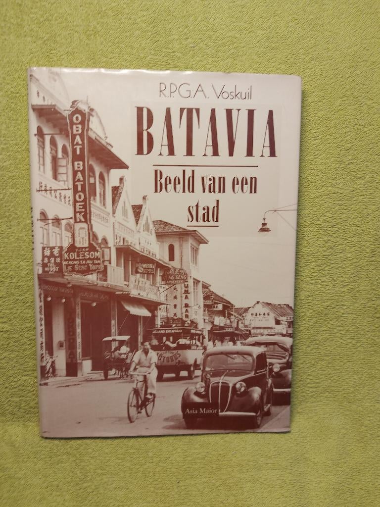 BATAVIA. Beeld van een stad - Voskuil., Ophalen of Verzenden, Zo goed als nieuw