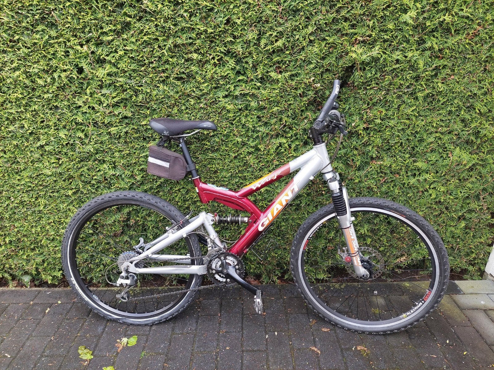 Giant Mountainbike - Full Suspension, Ophalen, Fully, 45 tot 49 cm, Giant