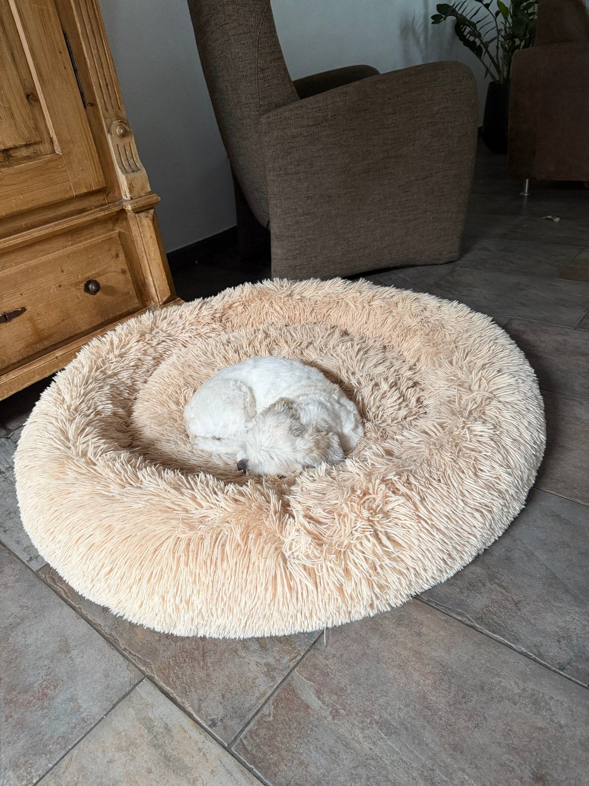 Mrflurryfriend honden mand 1.00 meter doorsnede beige, Dieren en Toebehoren, Ophalen of Verzenden