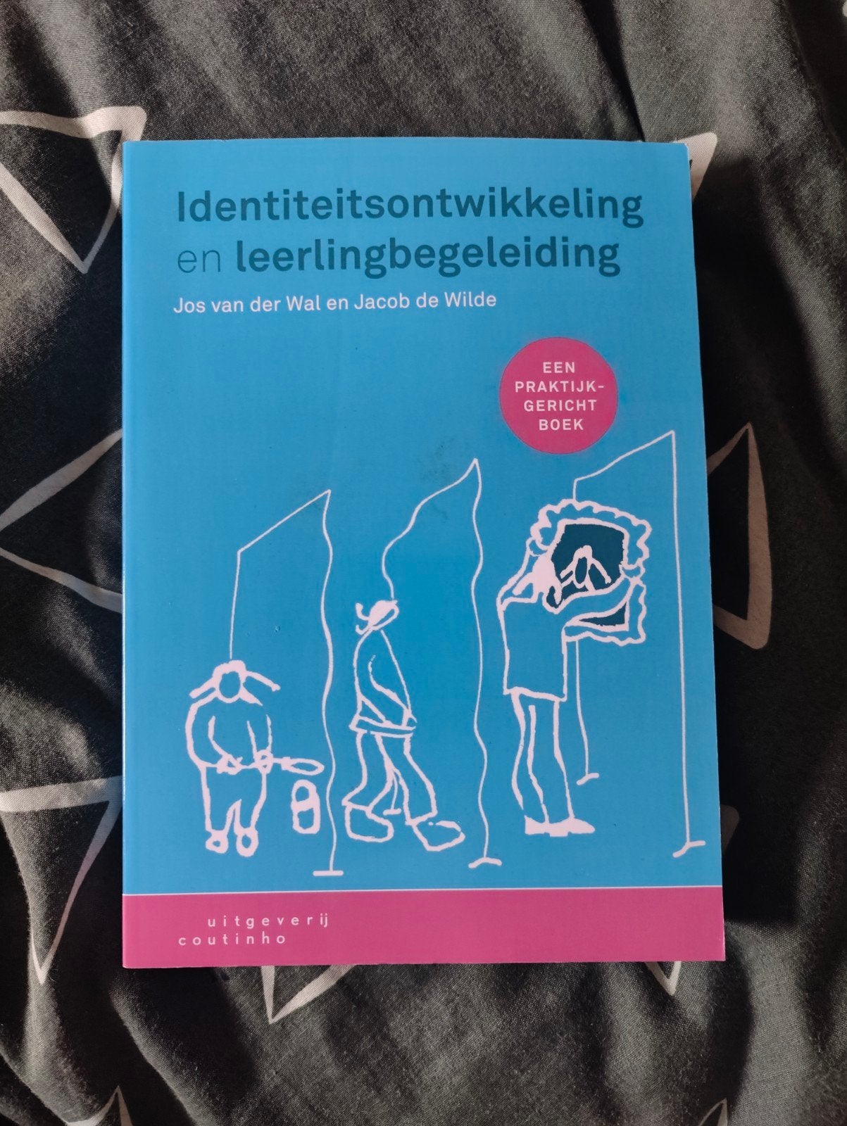 Identiteitsontwikkeling en leerlingbegeleiding, Jos van der Wal en Jacob de Wilde, Zo goed als nieuw, Gamma, HBO
