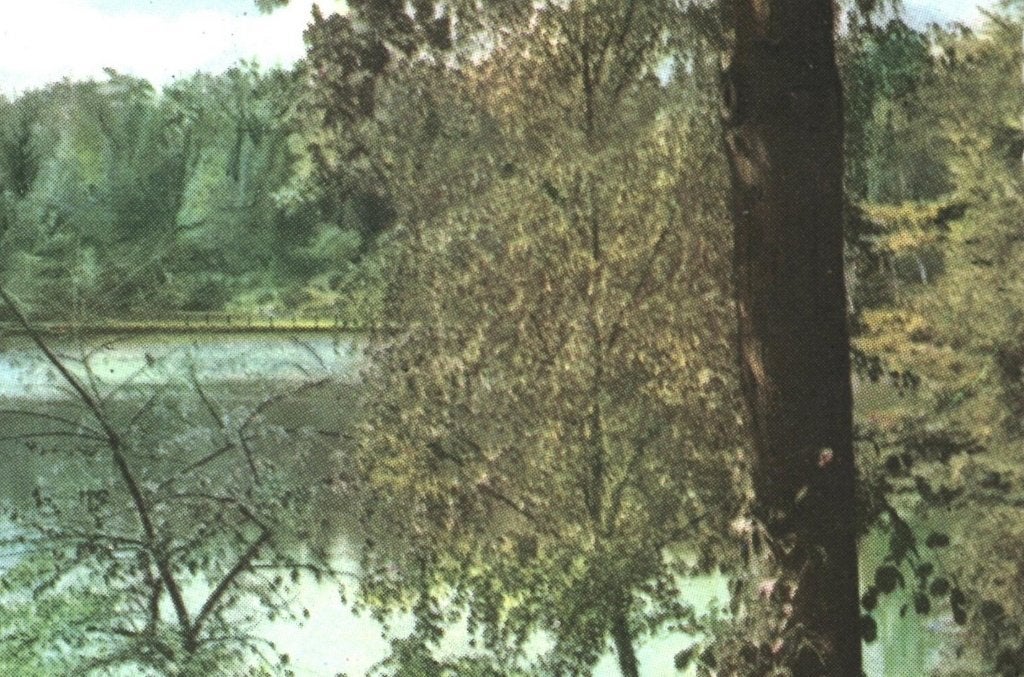 967676	Apeldoorn	Berg en Bos	Gld	1958	Niet gelopen, Ophalen of Verzenden, 1940 tot 1960, Ongelopen, Gelderland