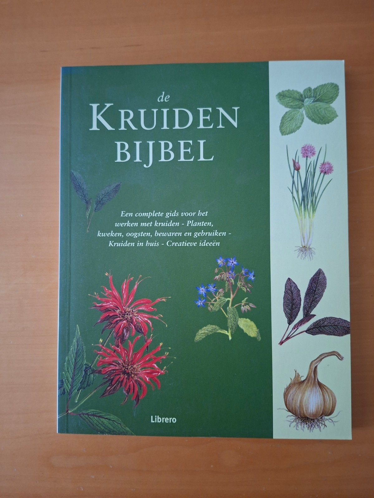 De Kruidenbijbel: Complete gids voor kruiden, Ophalen of Verzenden, Zo goed als nieuw, Bloemen, Planten en Bomen, Libero b.v. (Nederlandstalige editie)