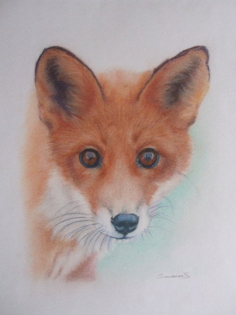 Pastelschilderij vosje, Antiek en Kunst, Pastel, Papier/karton, Ophalen of Verzenden, Dieren
