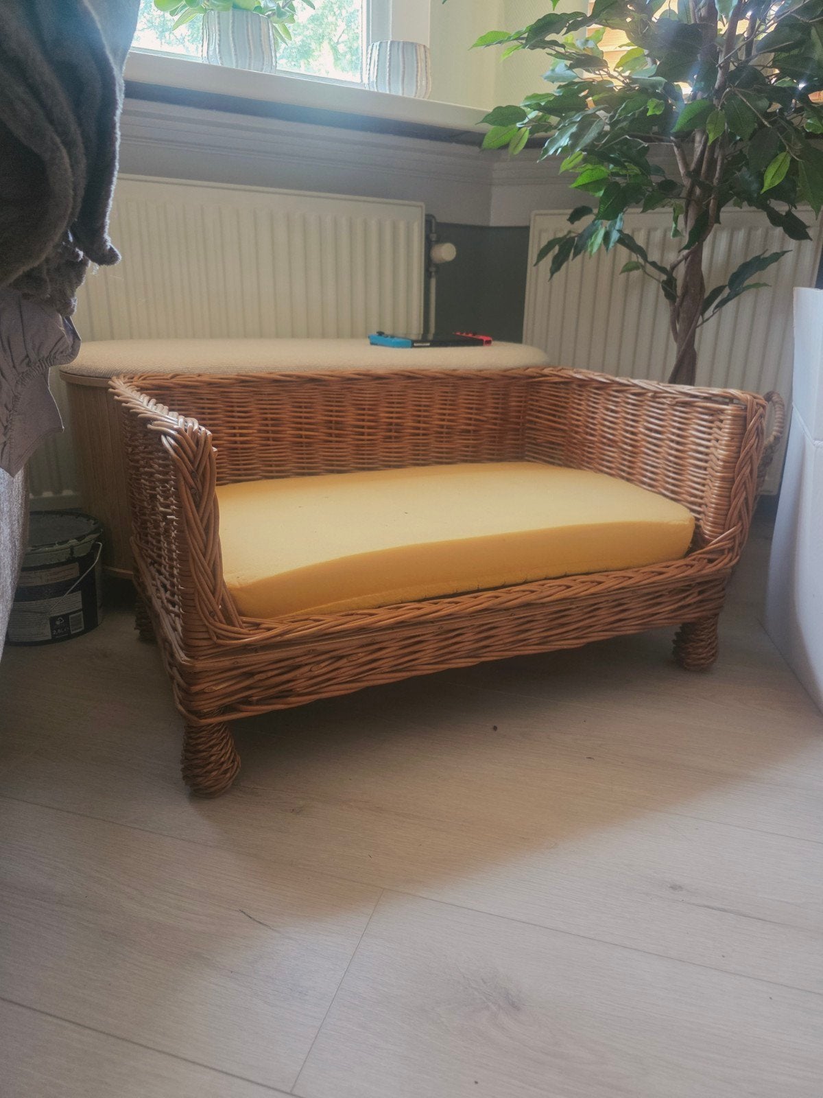 Mand voor hondje of kat, Ophalen, Gebruikt, Riet