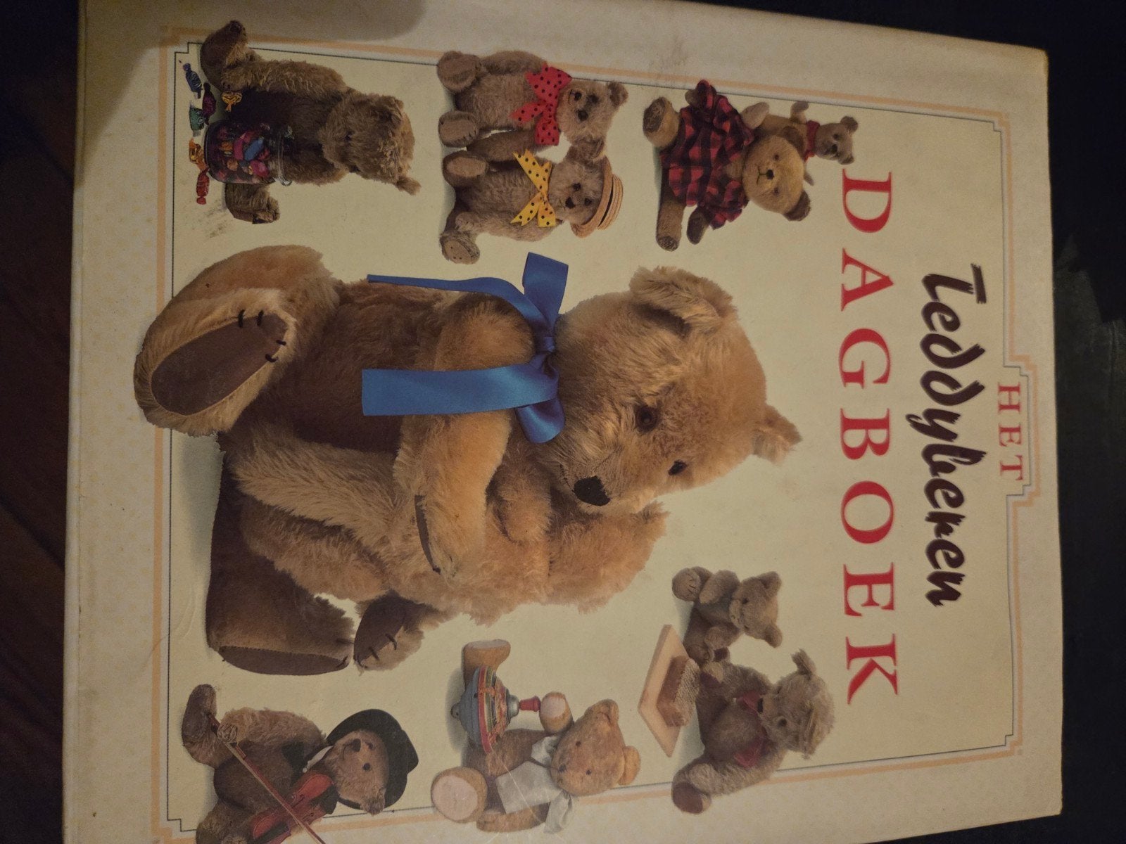 Het Teddyberen Dagboek, Ophalen of Verzenden, Zo goed als nieuw, Fictie algemeen