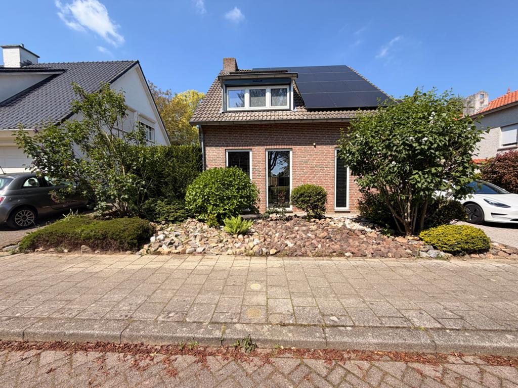 Maaskeien, lavastenen en diverse struiken, Tuin en Terras, Ophalen