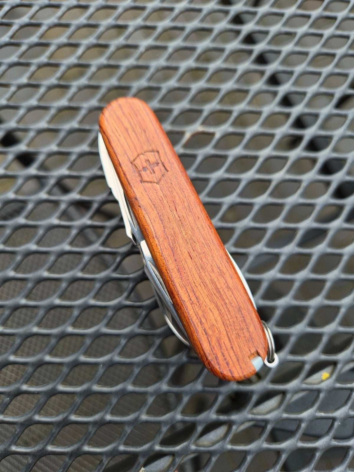 Victorinox Swisschamp Wood, nieuw, Ophalen of Verzenden, Nieuw