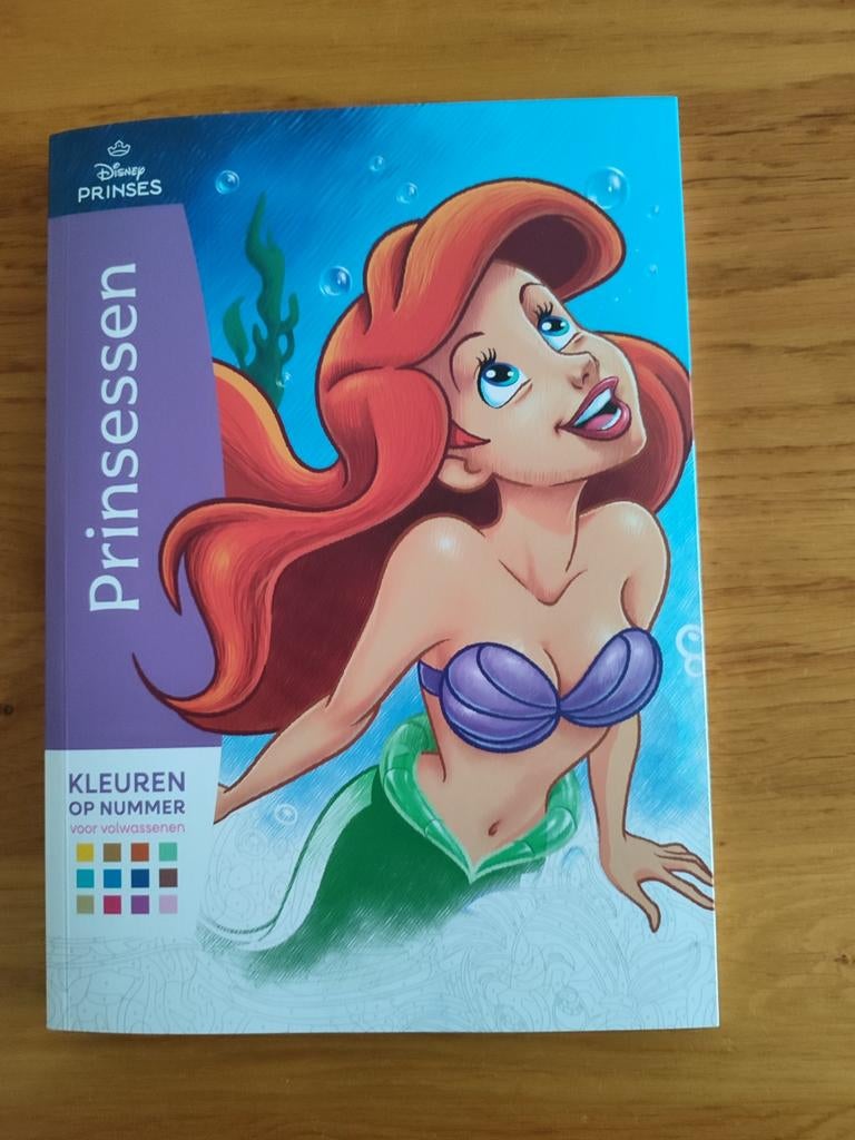Kleurboek op nummer Disney 100 kleurplaten, Boeken, Hobby en Vrije tijd, Zo goed als nieuw, Ophalen of Verzenden