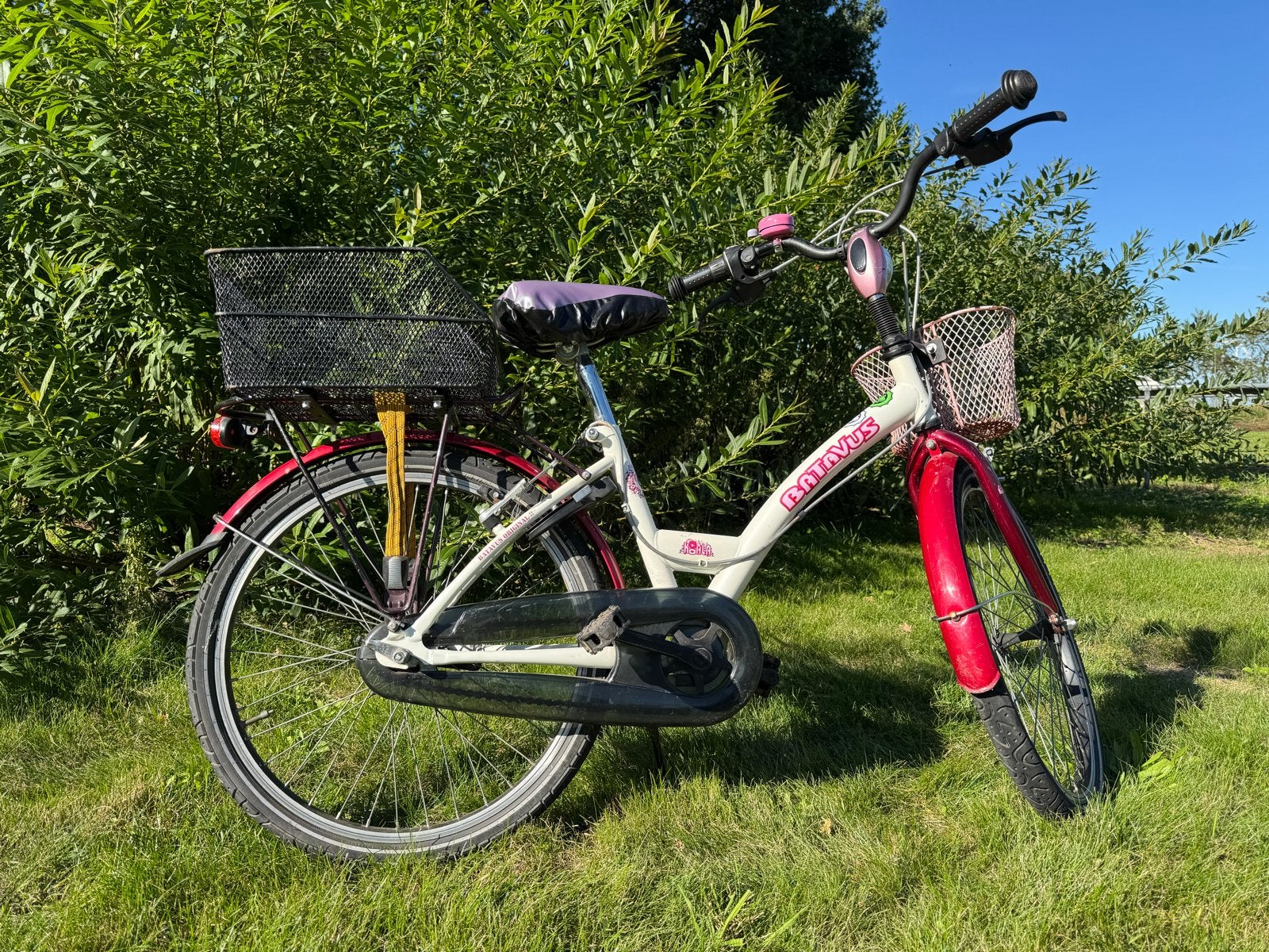Batavus Koala kinderfiets 22 inch met mandjes, Fietsen en Brommers, Ophalen, Terugtraprem, 22 inch, Gebruikt