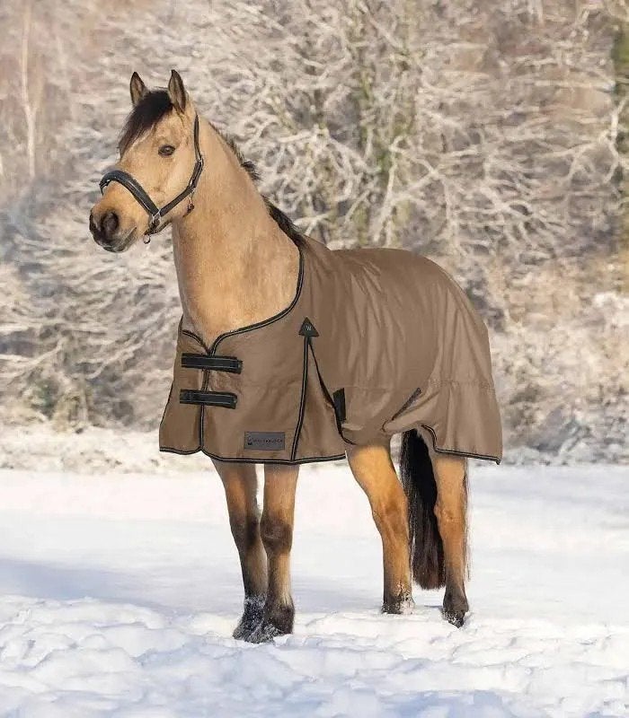 arctic outdoordeken 200 gram, Dieren en Toebehoren, Paarden en Pony's | Dekens en Dekjes, Gebruikt, Overige merken, 200 g, Regendeken