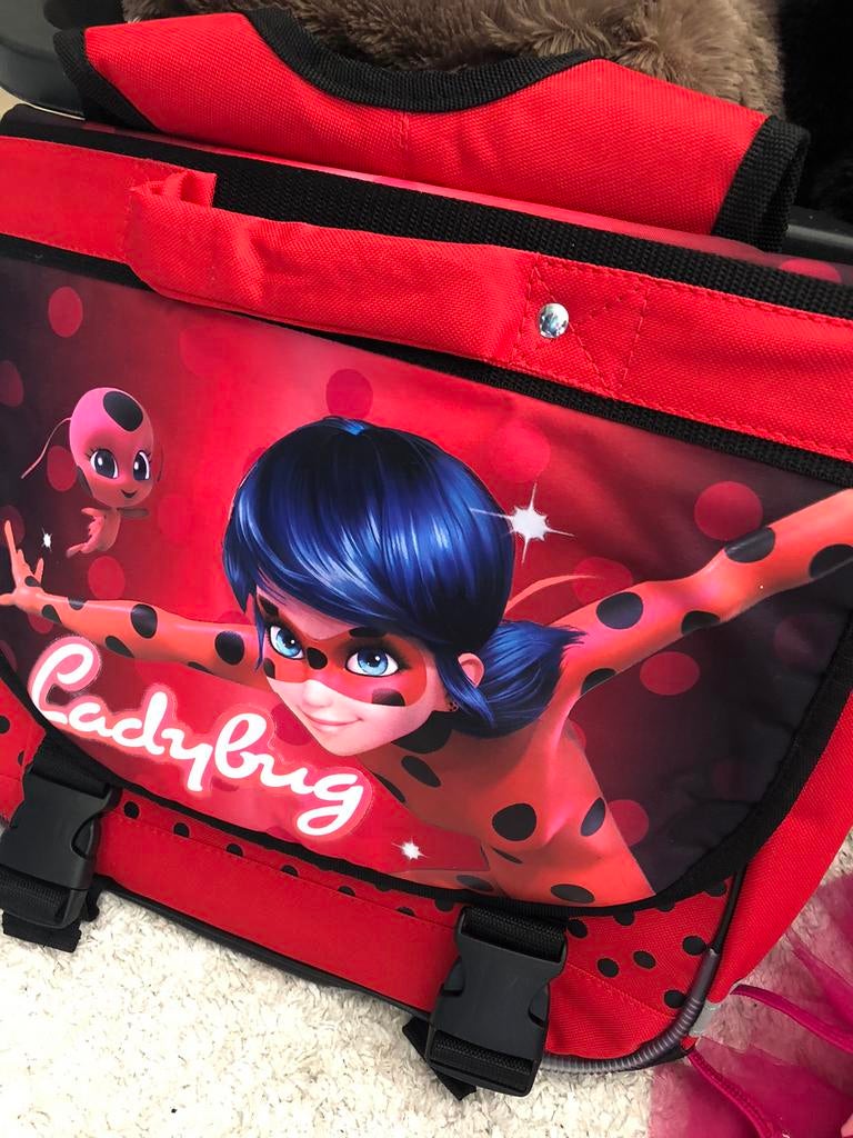Zgan ladybug tas, Ophalen of Verzenden, Zo goed als nieuw, Rugtas, Minder dan 30 cm