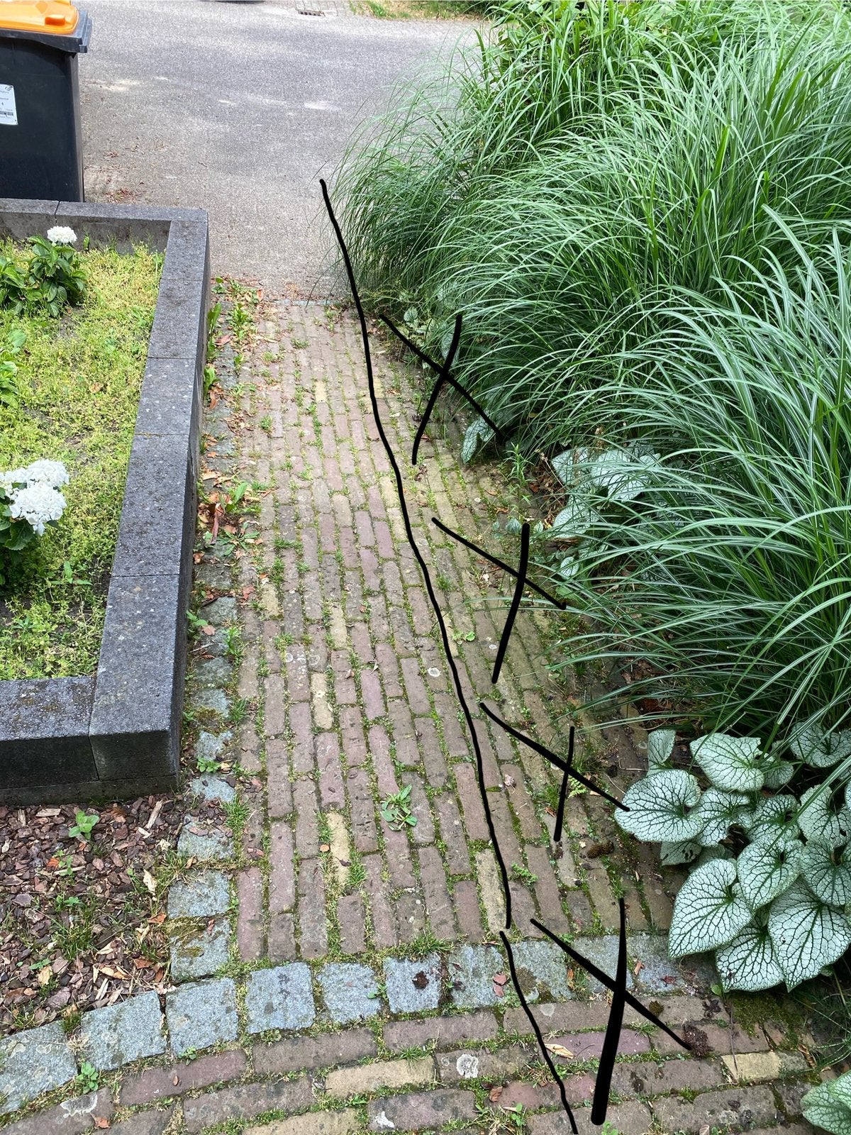 6,5m2 echte waaltjes, Tuin en Terras, Tegels en Klinkers, Ophalen, Gebruikt, Klinkers, 5 tot 10 m²