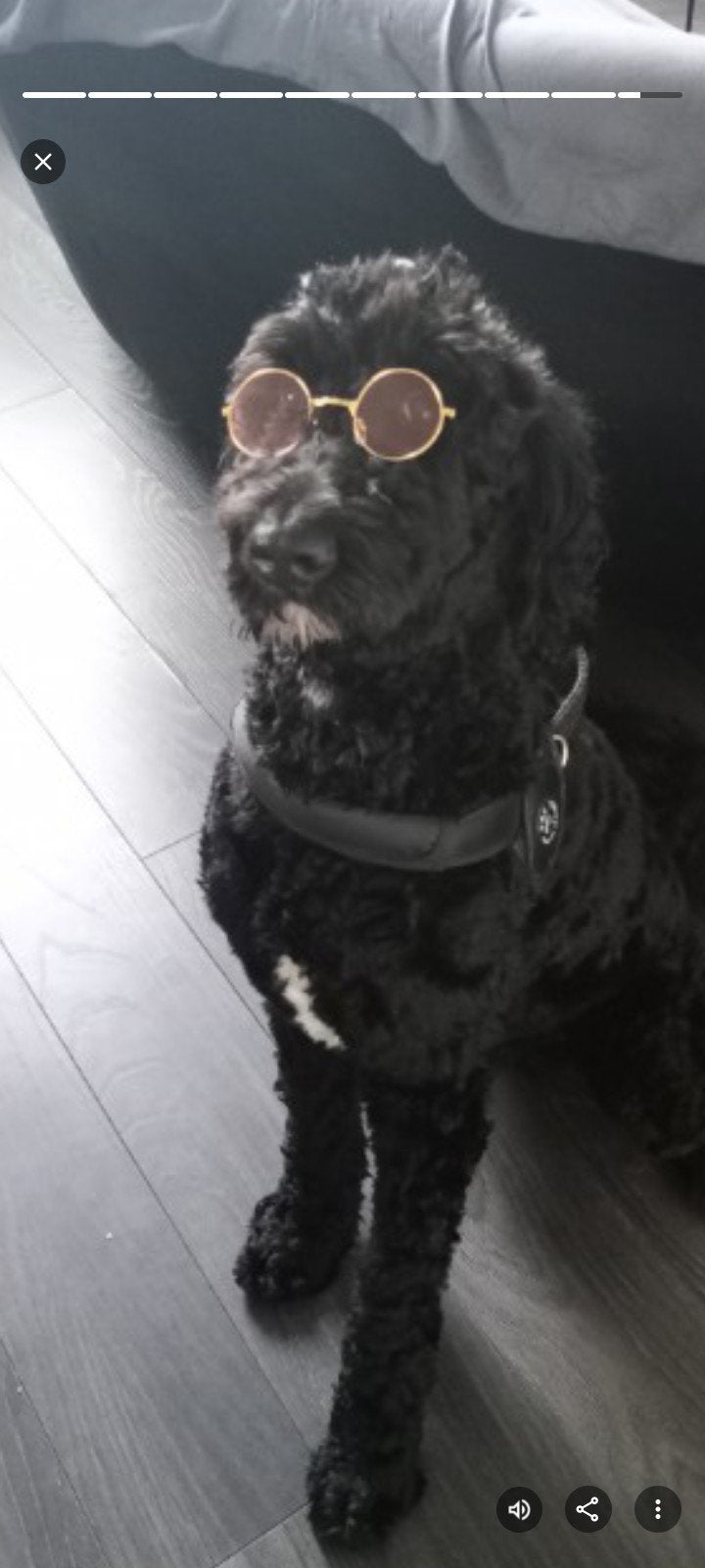 Zonnebril kleine hond of kat goud montuur roze glazen, Ophalen of Verzenden, Zo goed als nieuw