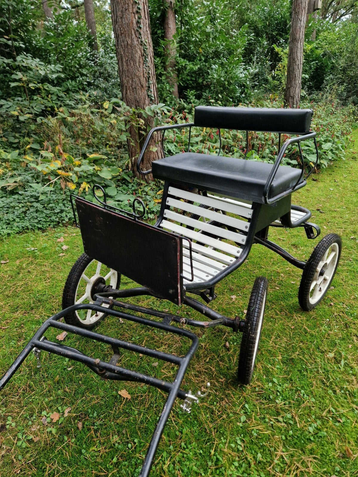 Nette concourswagen ponykar menwagen voor Shetlander, Dieren en Toebehoren, Pony