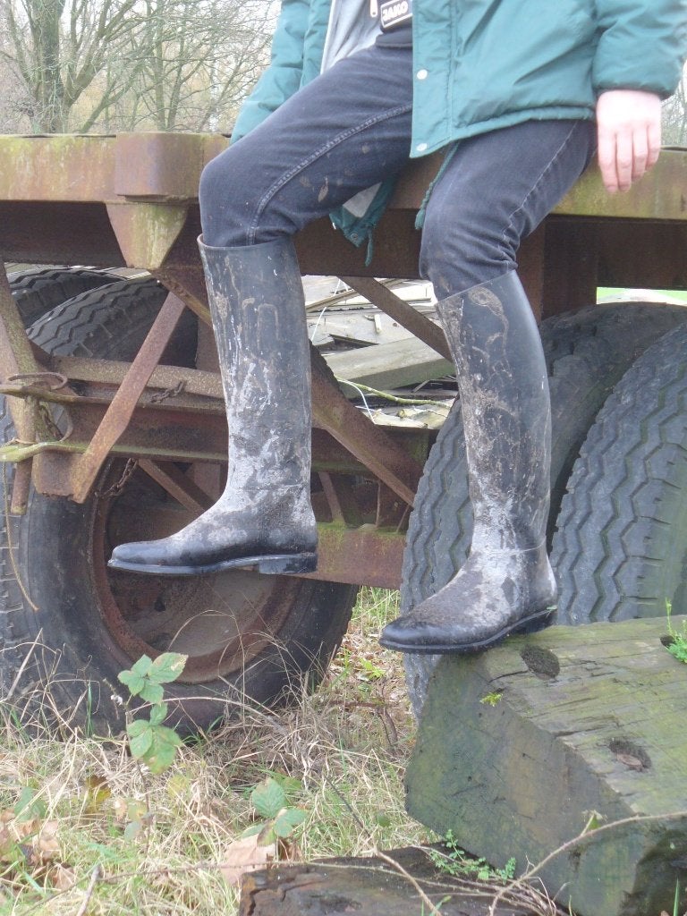 gezocht rijlaarzen vanaf maat 43, Dieren en Toebehoren, Gebruikt, L, Heren, Overige merken