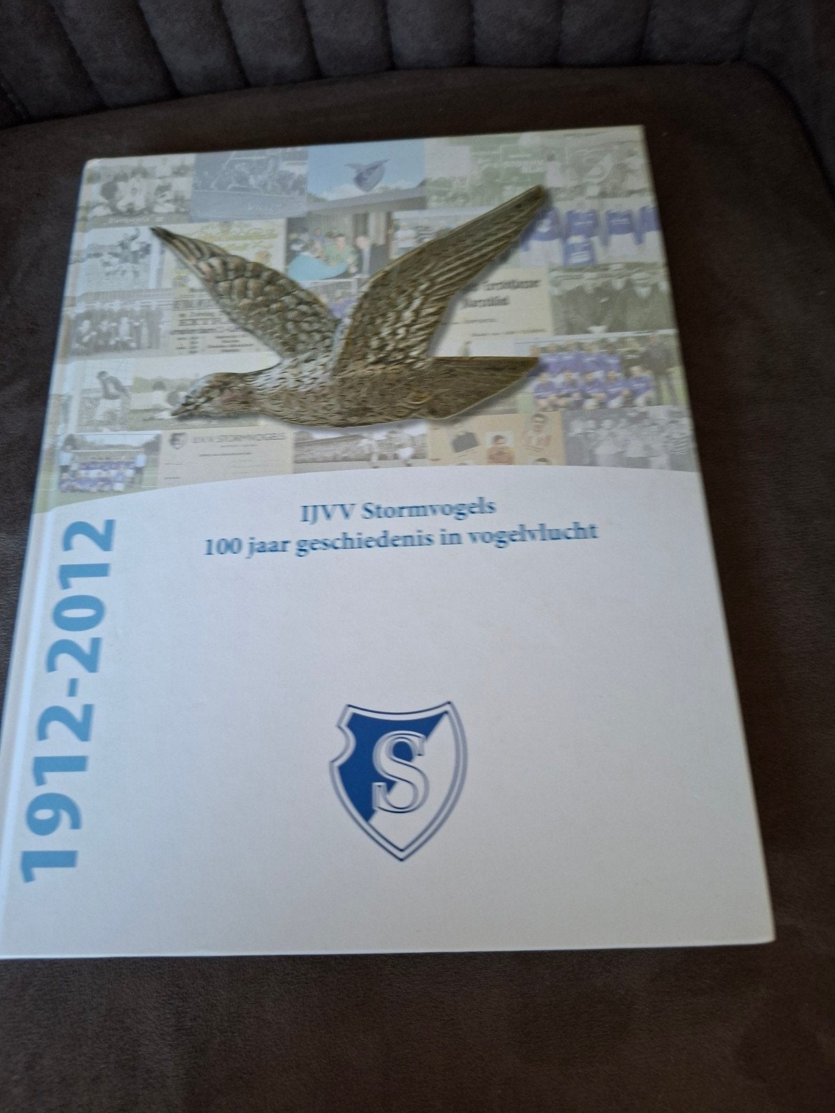 IJVV Stormvogels: 100 jaar geschiedenis in vogelvlucht, Ophalen of Verzenden, Zo goed als nieuw, Onbekend, Balsport
