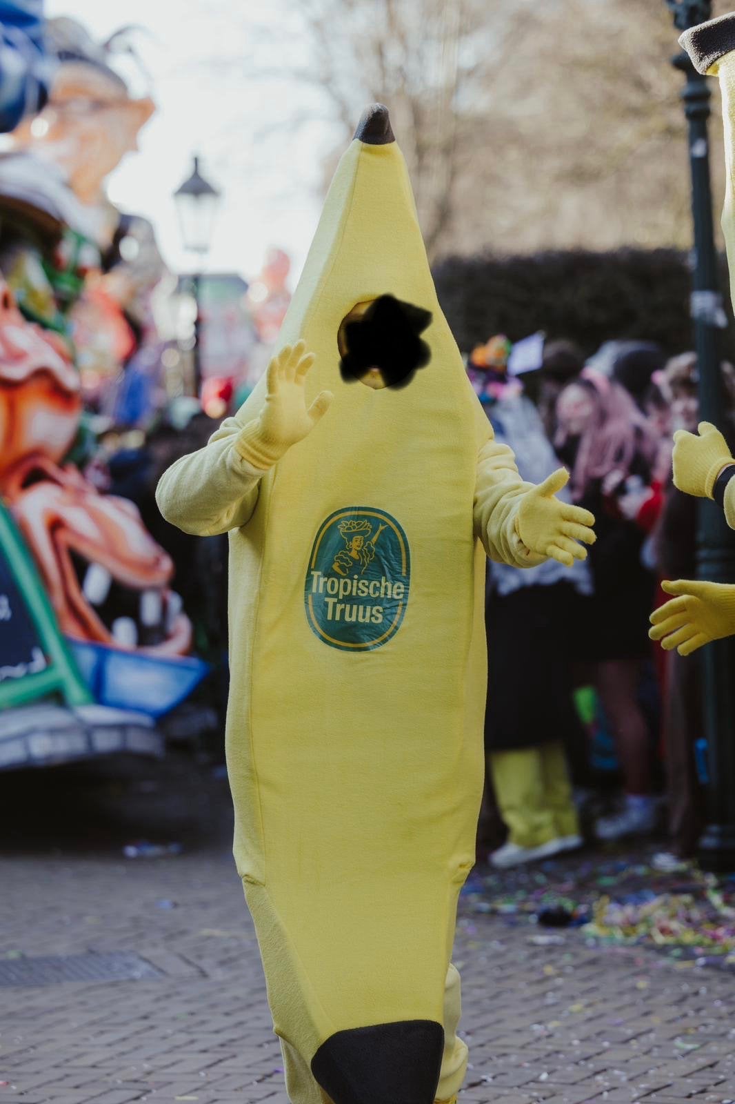 Unieke, handgemaakte carnavalskostuums – groente & fruit!, Ophalen