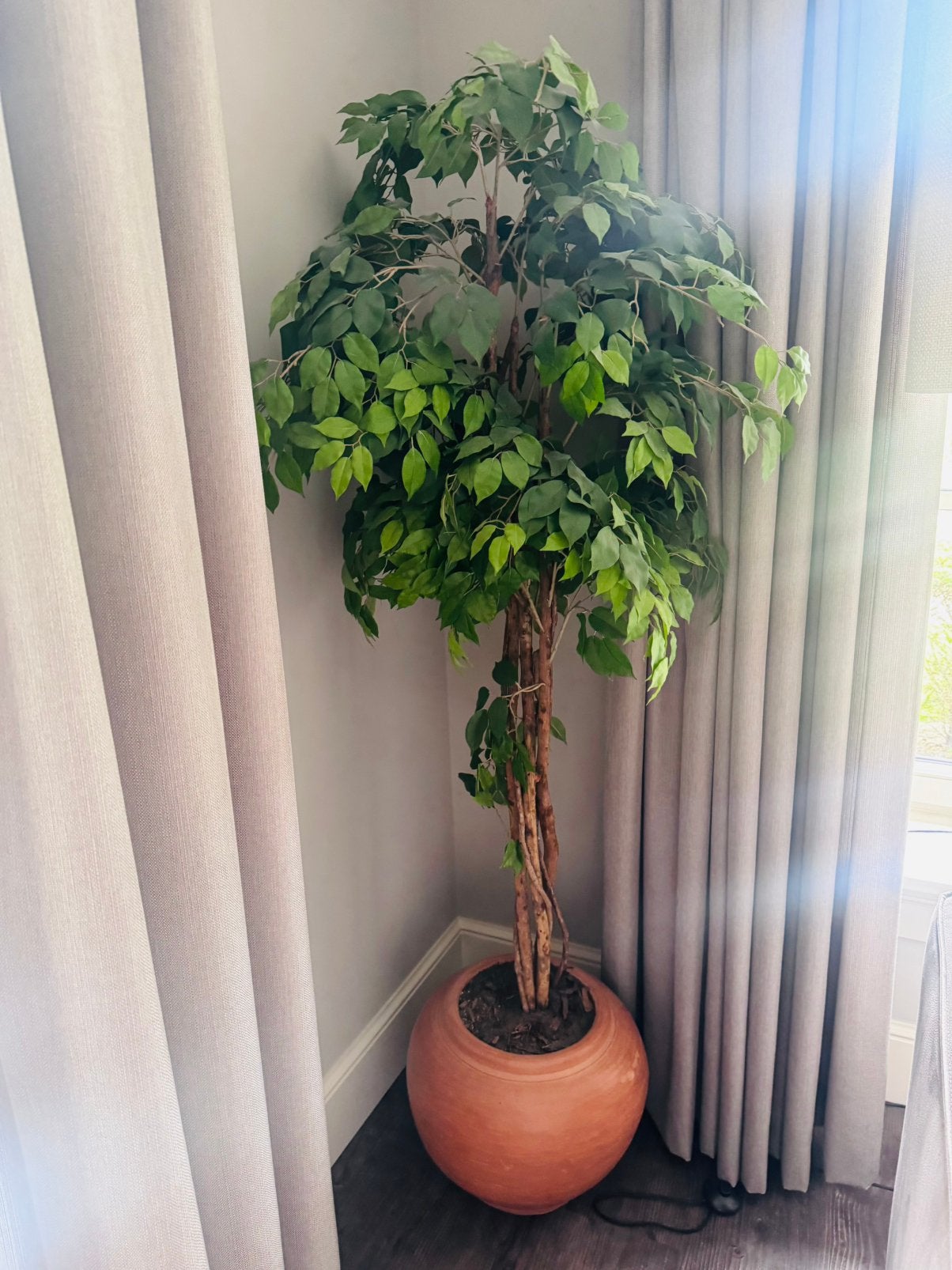 Kunstboom Ficus in stenen pot ca. 180 cm hoog, Binnen, Groen, Met pot of vaas, Kunstplant