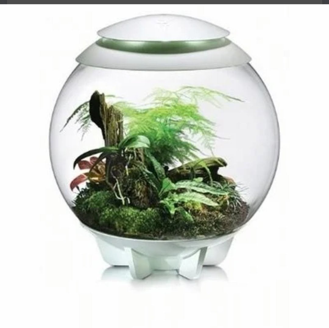 te koop aquarium, Ophalen of Verzenden, Zo goed als nieuw, Leeg aquarium