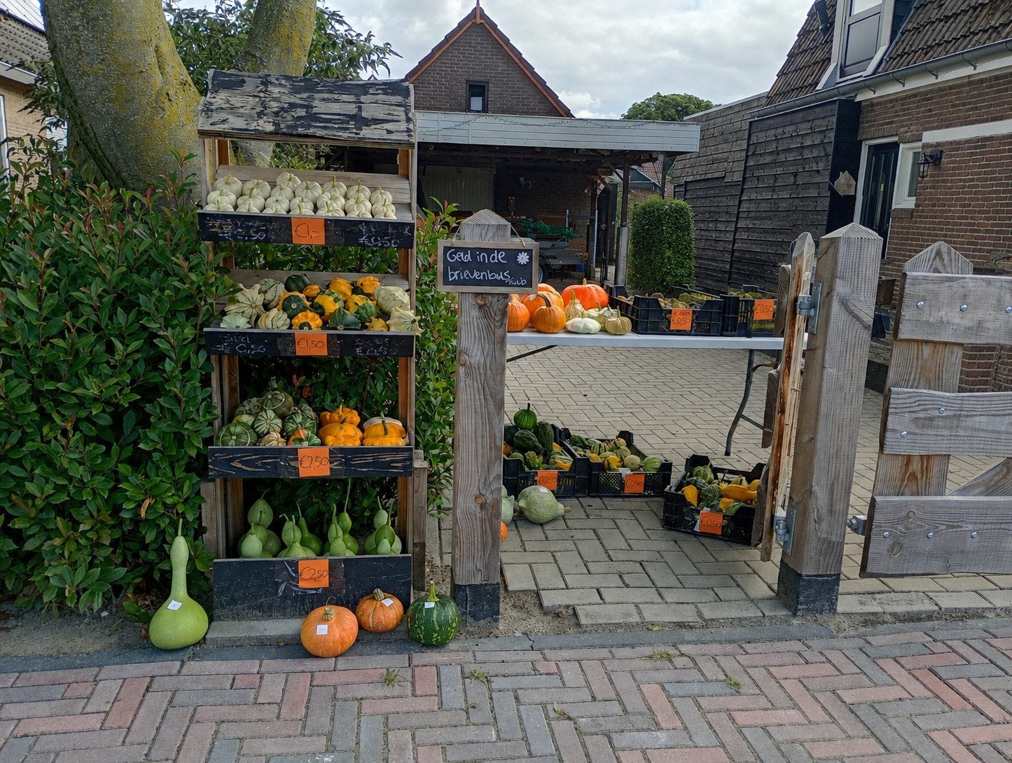 Verse pompoenen en kalebassen te koop!, Ophalen