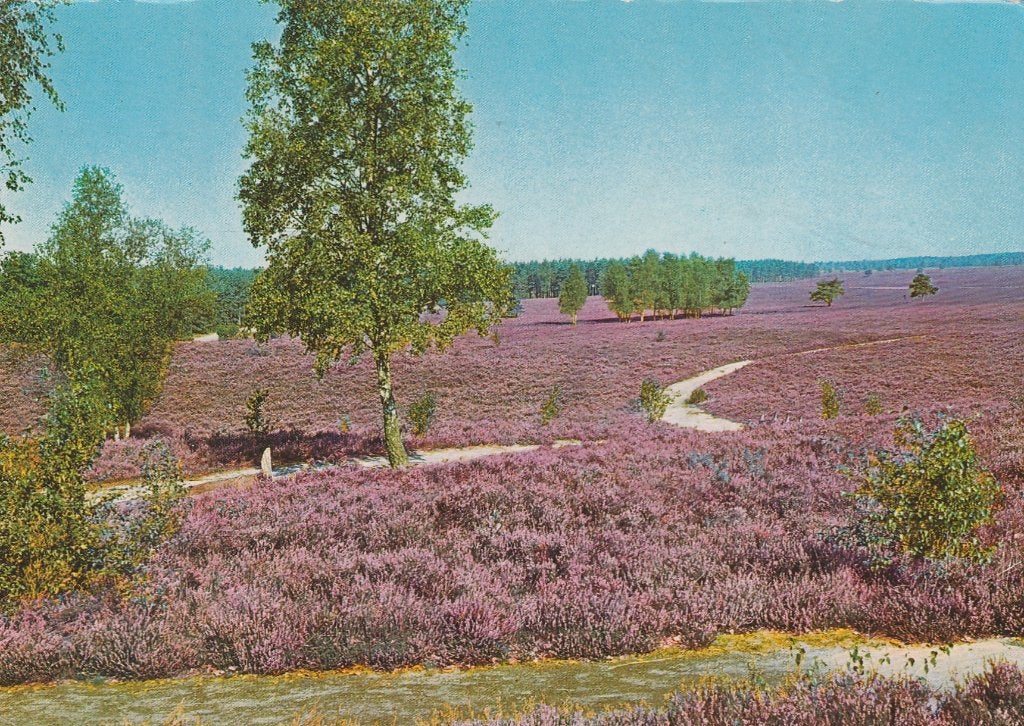BLADEL Heide, Verzenden, 1980 tot heden, Gelopen, Noord-Brabant
