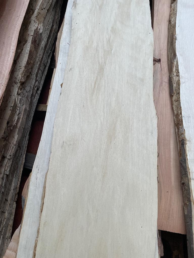 Witte beuk weissbuch uniek wandplank snijplank suar teak eik, Ophalen, Nieuw