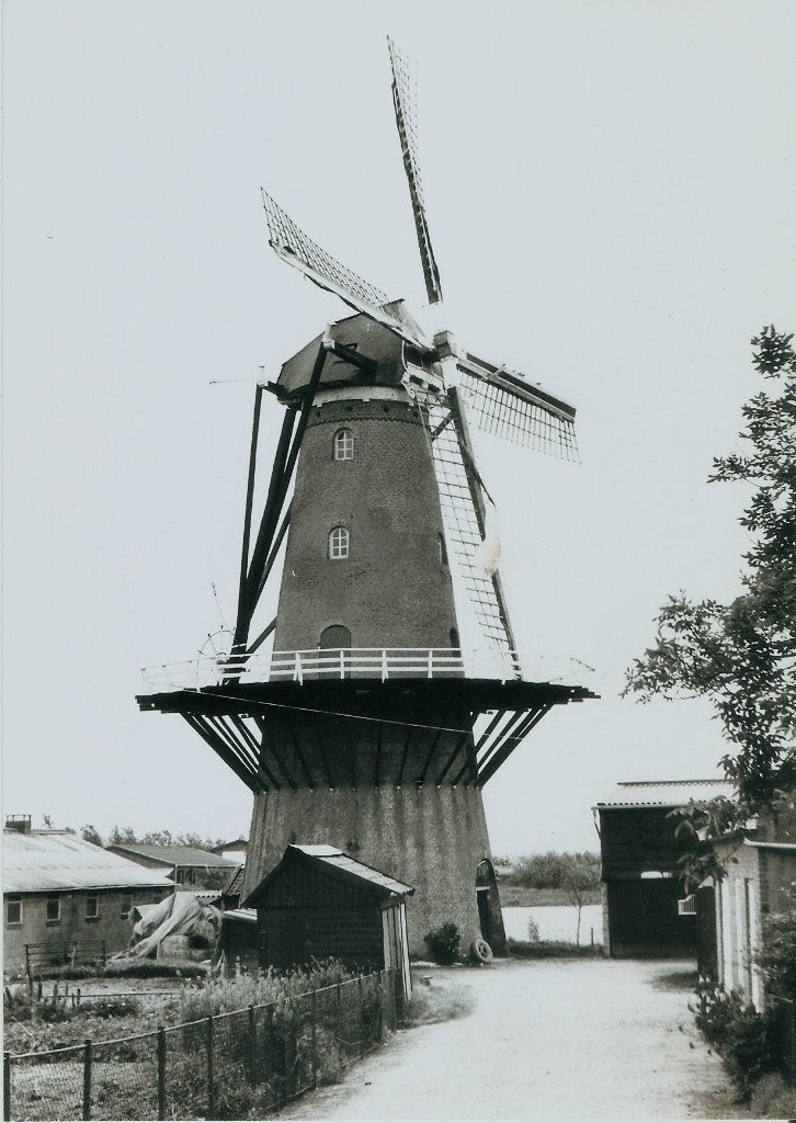 Heinkenszand molen De Drie Gebroeders foto P. Grund 1984 g.f, Ophalen of Verzenden, 1980 tot heden, Ongelopen, Zeeland