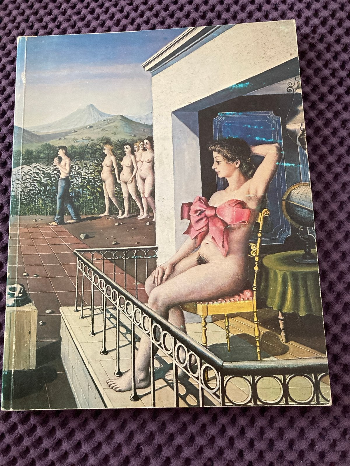 Paul Delvaux Kunstboek - Surrealistische Meesterwerken, Ophalen of Verzenden, Gelezen, Schilder- en Tekenkunst