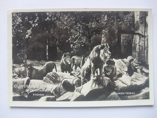R82 Rhenen - Ouwehands Dierenpark - 1957, Verzamelen, Verzenden, 1940 tot 1960, Gelopen, Utrecht
