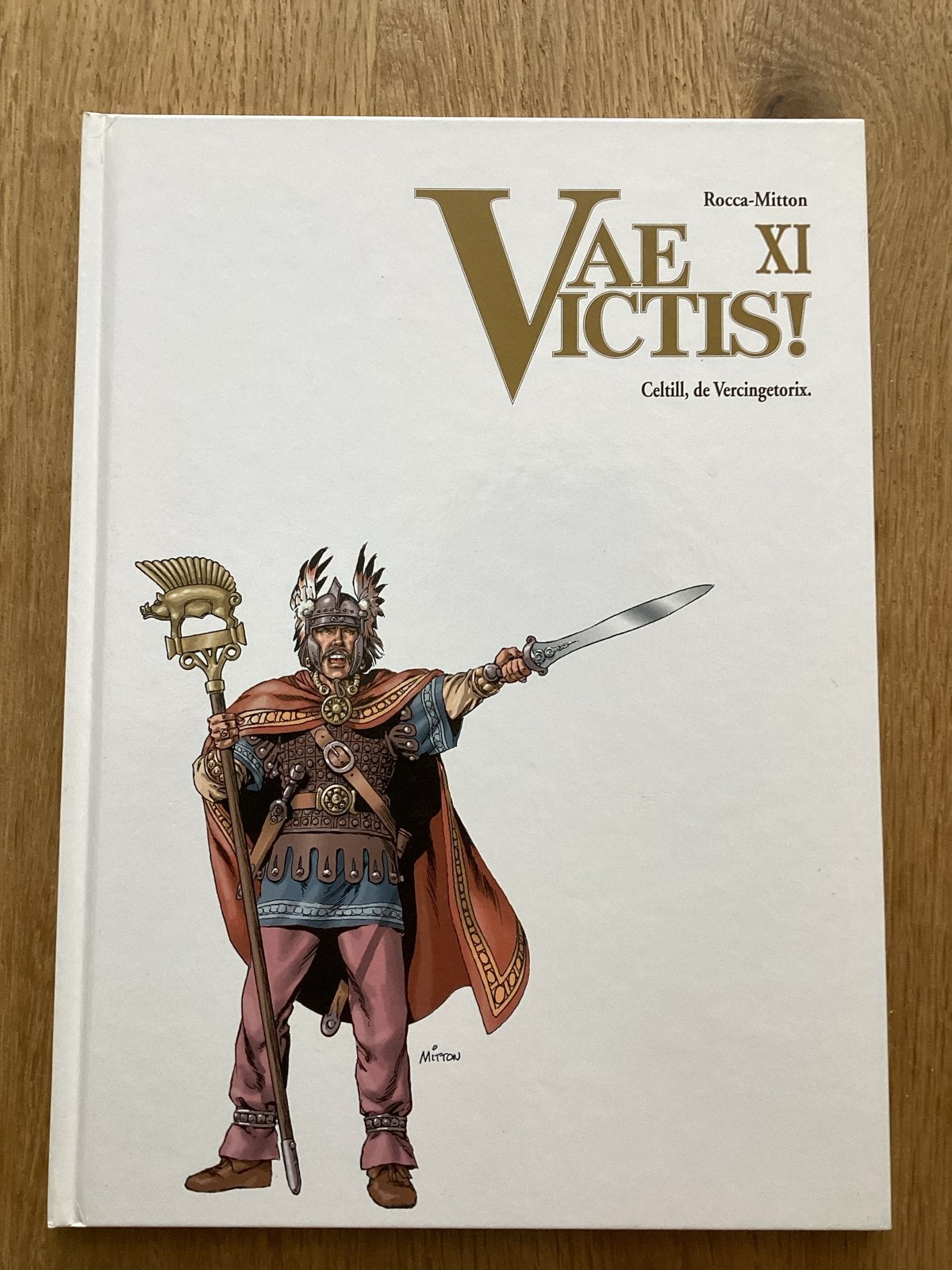Vae Victis! XI: Celtill, de Vercingetorix - Hardcover, Boeken, Eén stripboek, Ophalen of Verzenden, Zo goed als nieuw