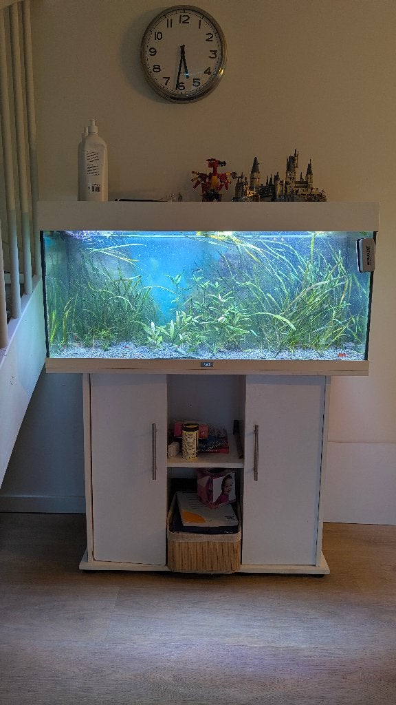 Complete Aquarium Set: Juwel Rio 200 + Oase pomp + LED + Acc, Ophalen, Gebruikt, Gevuld zoetwateraquarium, Inclusief controller