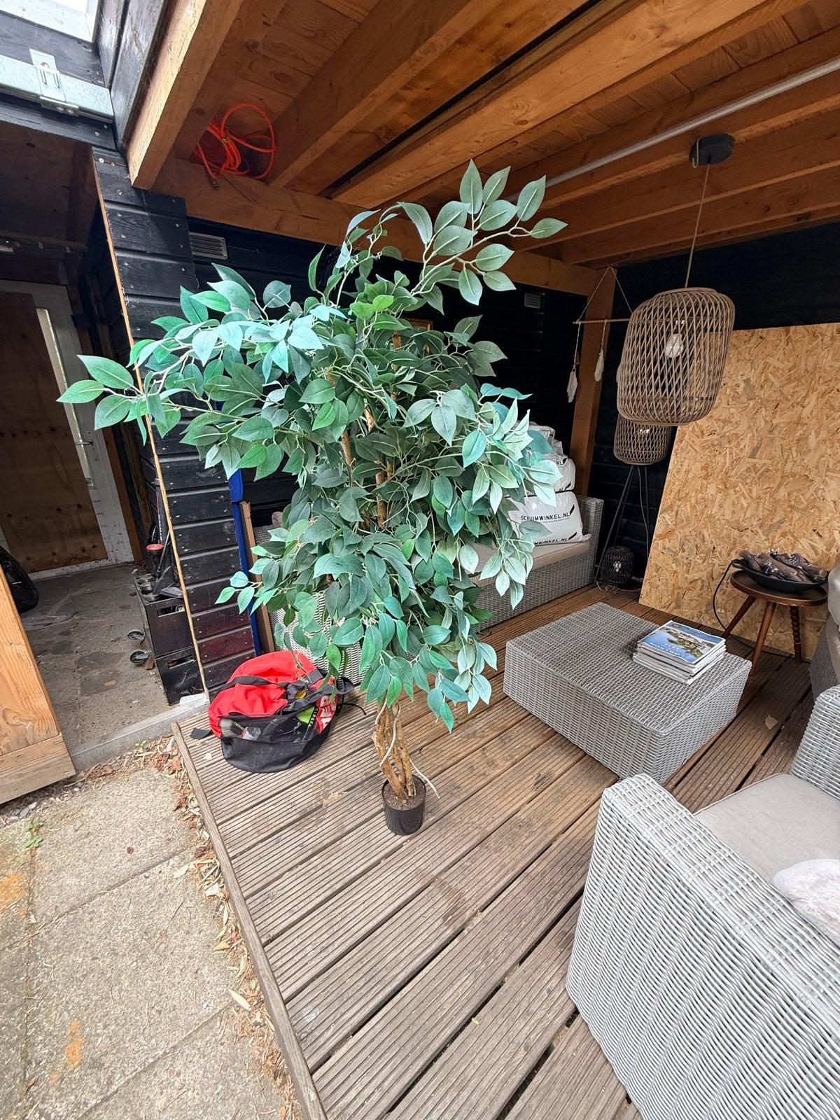 Grote kunstplant, perfect voor binnen en buiten, Ophalen, Binnen, Kunstplant, Kunststof