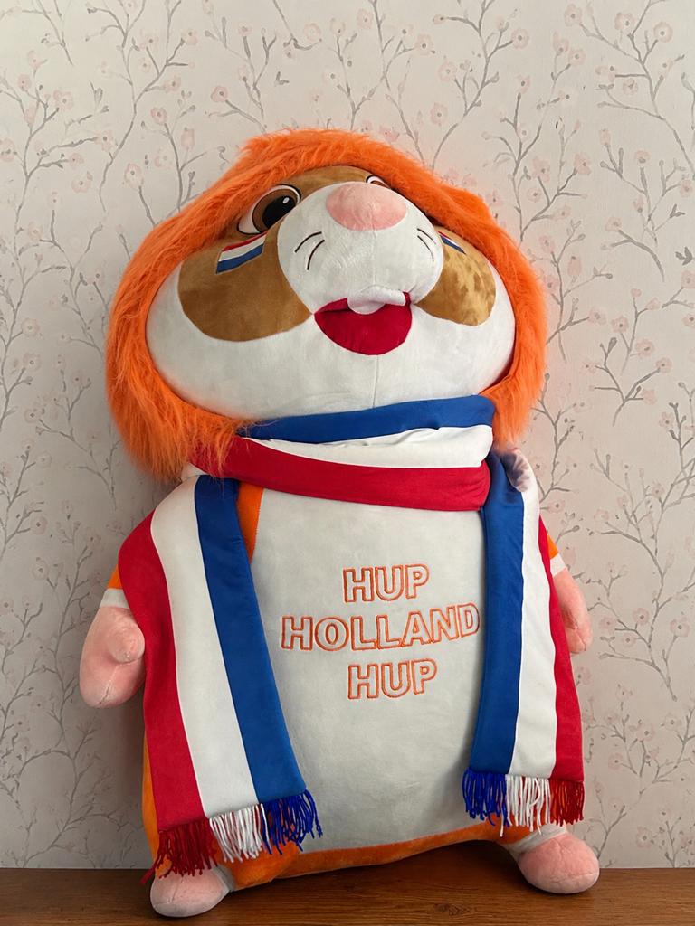 Albert Heijn WK hamster, Kinderen en Baby's, Speelgoed | Knuffels en Pluche, Ophalen, Zo goed als nieuw, Overige typen