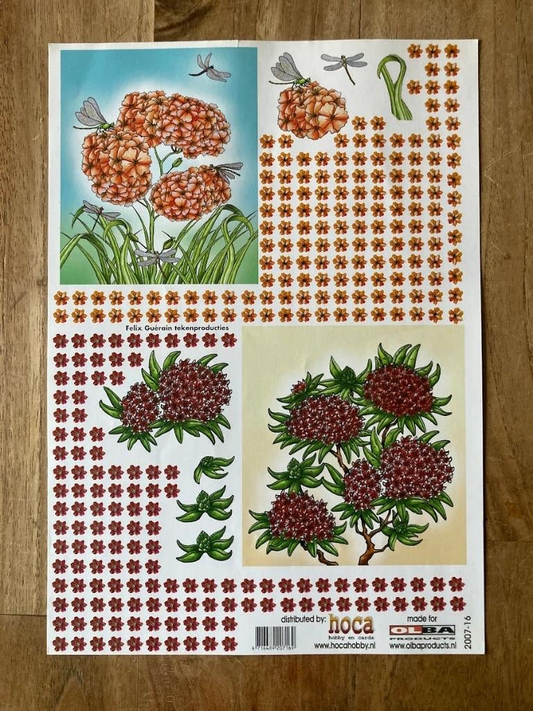 Knipvel Hoca hobby - bloemen, Ophalen of Verzenden, Nieuw, Natuur, Knipvel