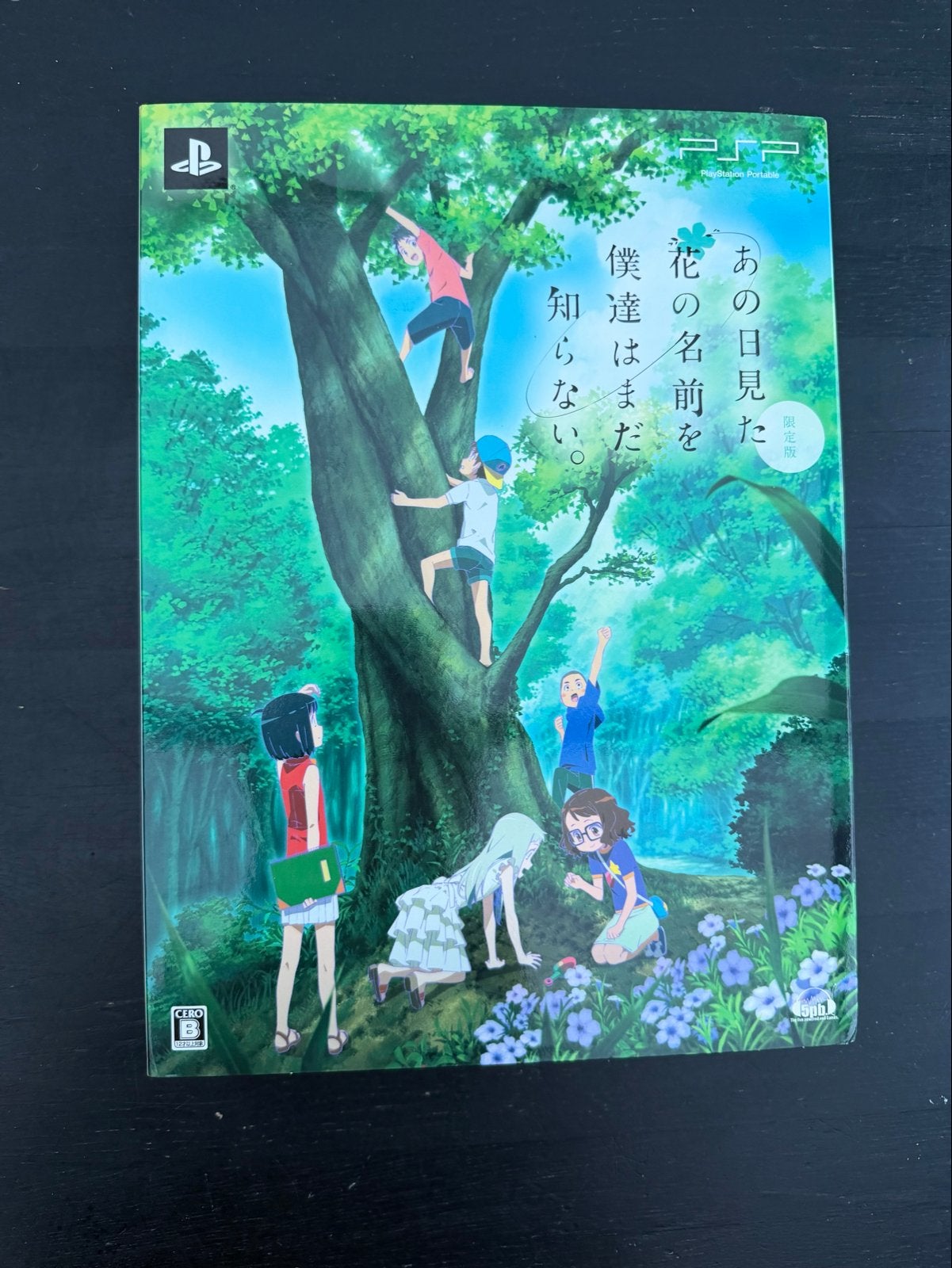 Ano Hi Mita Hana no Namae o Bokutachi wa Mada Shiranai PSP, Avontuur en Actie, 1 speler, Ophalen of Verzenden, Zo goed als nieuw
